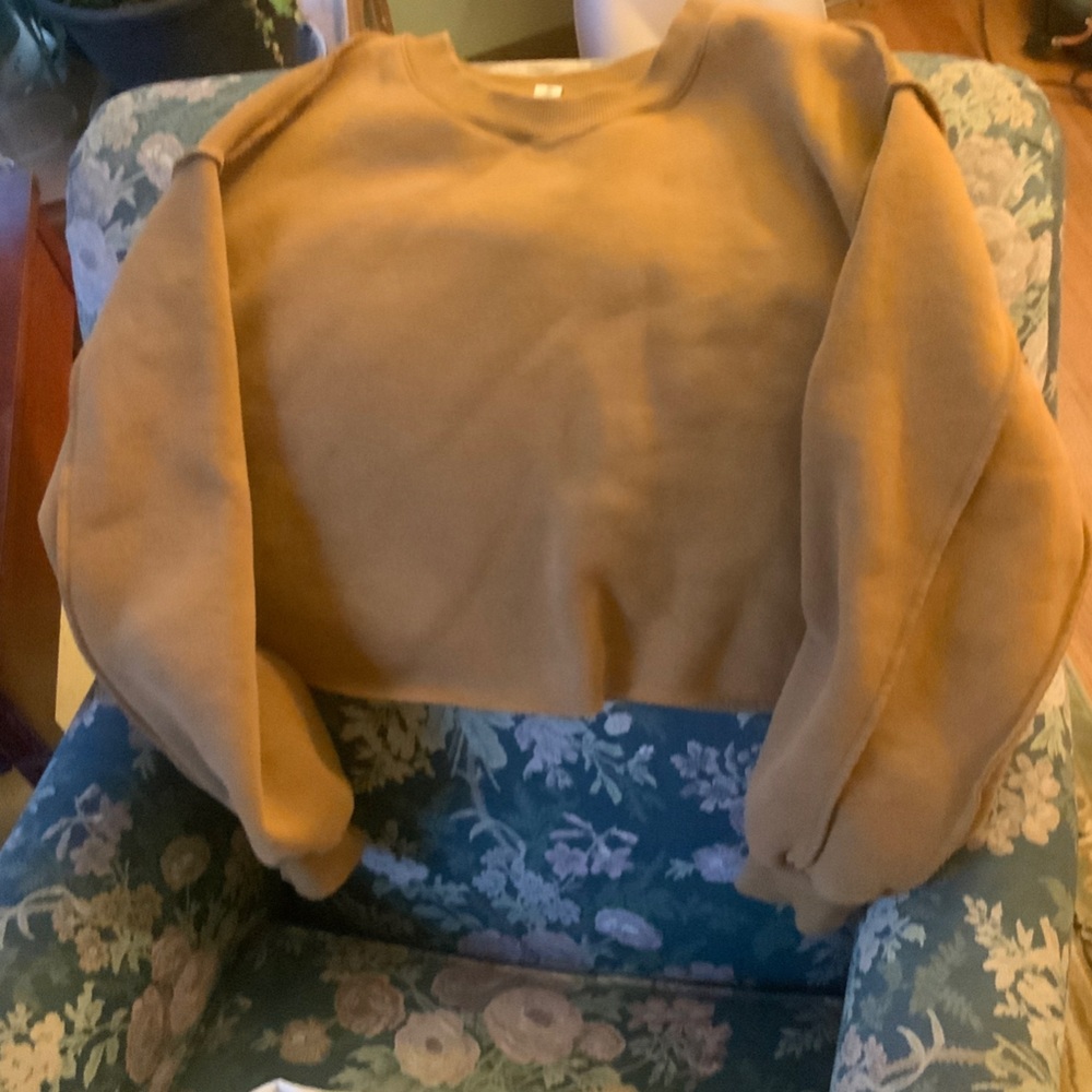 Casual Tan Crop Top for Women